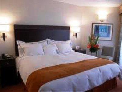 Dwarkadhish Intercontinental 3*